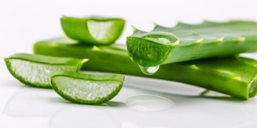 Was ist Aloe Vera? Nutzen für die Gesundheit und Anwendung