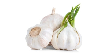Knoblauch: Gesundheitliche Vorteile, Anwendungen und Nebenwirkungen