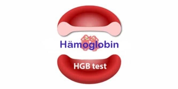 Hämoglobin: Hämoglobinmangel, erhöhte Hämoglobinwerte, Hgb-Test