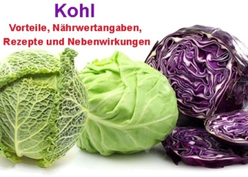 Kohl: Vorteile, Nährwertangaben, Rezepte und Nebenwirkungen