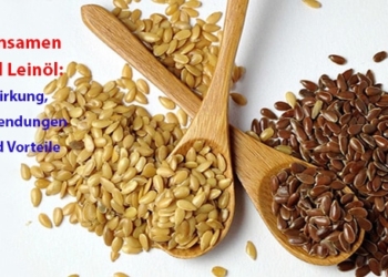 Leinsamen und Leinöl: Wirkung, Anwendungen und Vorteile