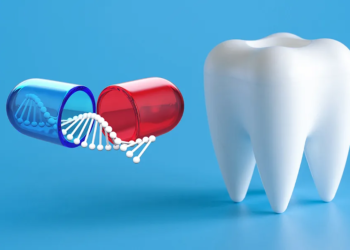Neues Medikament könnte fehlende Zähne nachwachsen lassen
