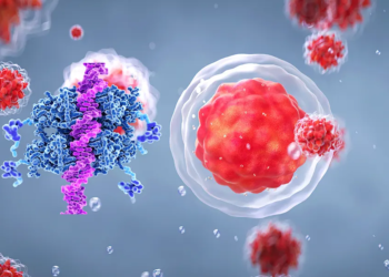 Neue Studie ebnet den Weg für maßgeschneiderte Immuntherapien bei Kinderkrebs