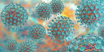 Alzheimer-Krankheit: Neue Verbindung zum Herpes-Virus entdeckt